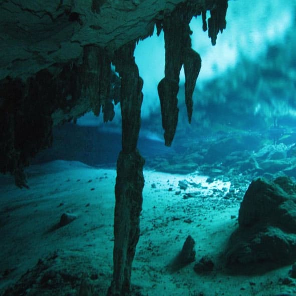 Sorpréndete en el Cenote Dos Ojos